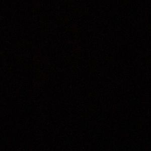 Meet your Posher, Trever